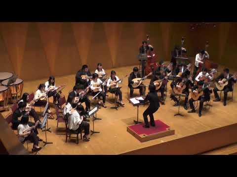 プラッキング・ストリングス (Plucking Strings) / J.Steffaro