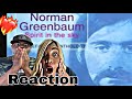 THIS TOUCHED OUR HEARTS AND CALMED OUR SPIRITS!!! NORMAN GREENBAUM - SPIRIT IN THE SKY (REACTION)