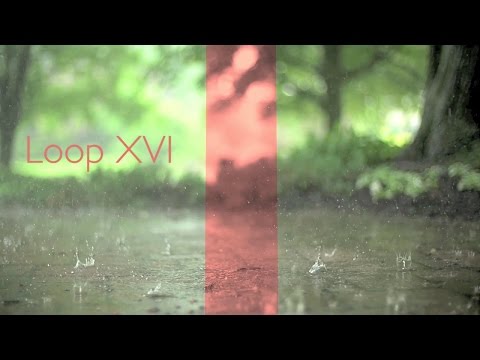 Speak Loud Advocate - Loop XVI