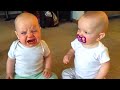 Cute Twins Baby Will Make You Laugh -  Funny Twins Video