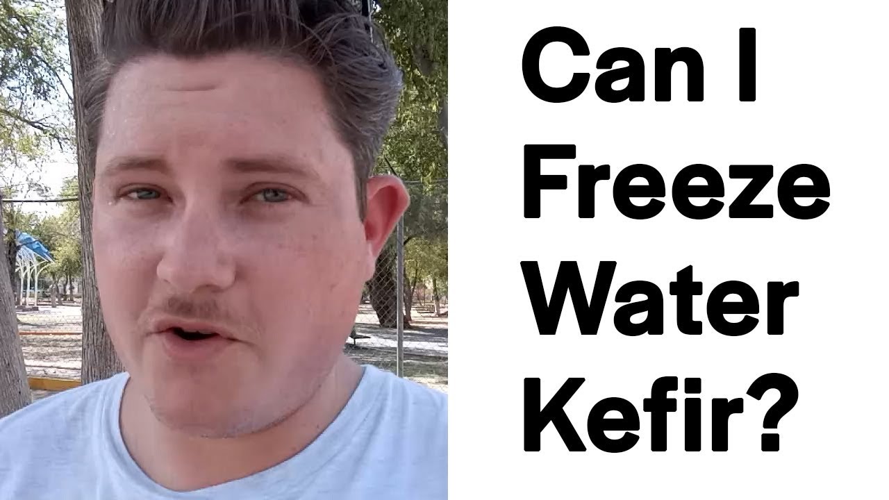 Can I freeze water kefir grains? YouTube