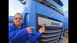 NO CREERAS lo que ENCONTRE en MI CAMION!!(especificaciones del chasis)DAF XF 530 2022