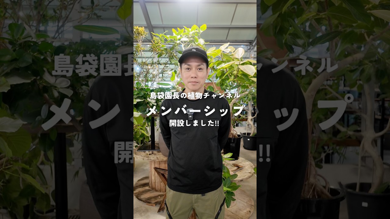 【ご報告】メンバーシップ開設しました!!