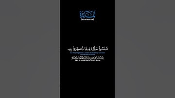 سورة المائدة: الآية [١٤]#القرآن_الكريم #الفرقان #سورة_المائدة #محمد_اللحيدان #قرآن #تلاوة #آيات