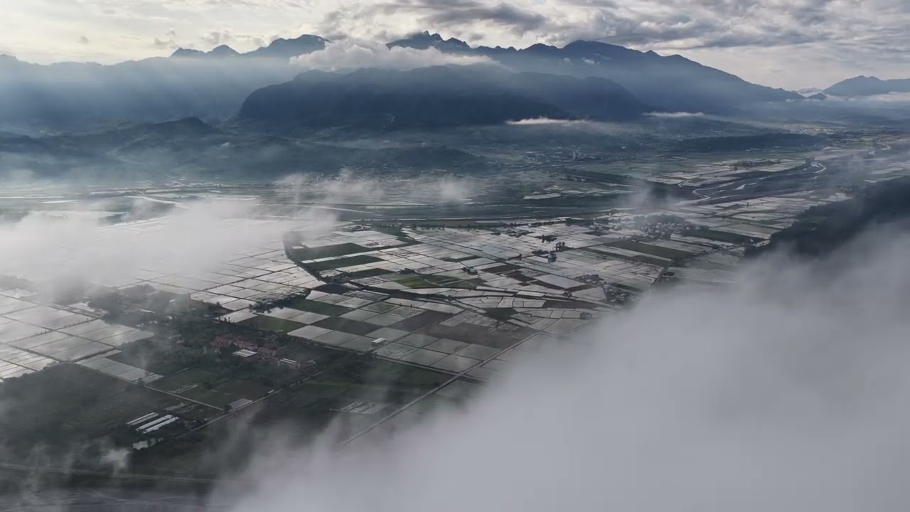 五彩繽紛的玉里稻田景色