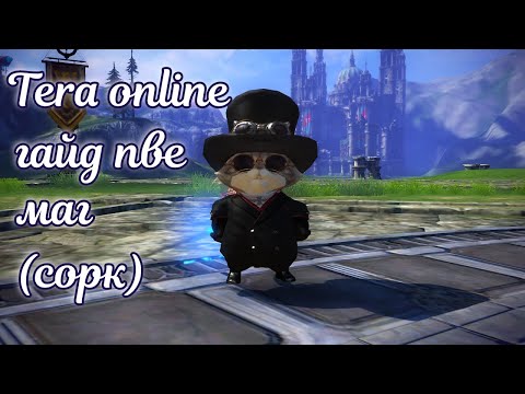 Видео: ☯ Tera online гайд маг ☯ актуально 2024 для Menma и Asura ☯