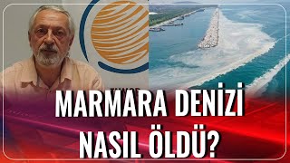 Marmara Denizi Nasıl Öldü? Ahmet Dursun Kahraman Akşam Haberleri