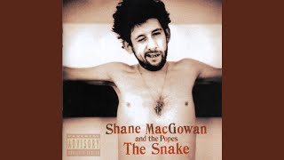 Video thumbnail of "Shane MacGowan & The Popes - The Song With No Name"