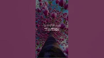 #القرآن_الكريم #المصحف #اكسبلور #راحة_نفسية #تلاوة_خاشعة #duet #دويتو