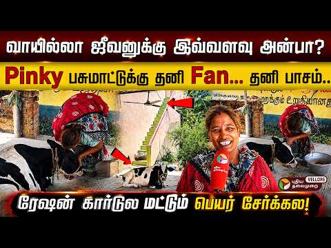 "ரேஷன் கார்டில் பெயர் மட்டும் சேர்க்கலை!" மகள் போல பசுமாட்டை வளர்க்கும் குடும்பம்... | PT Vellore
