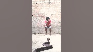 May 17, 2023 Nagin Snake vfx magic | Funny short video #short #tiktok #youtubevideo