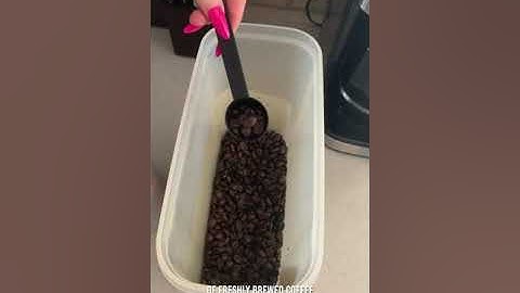 Module 4 Video Assignment