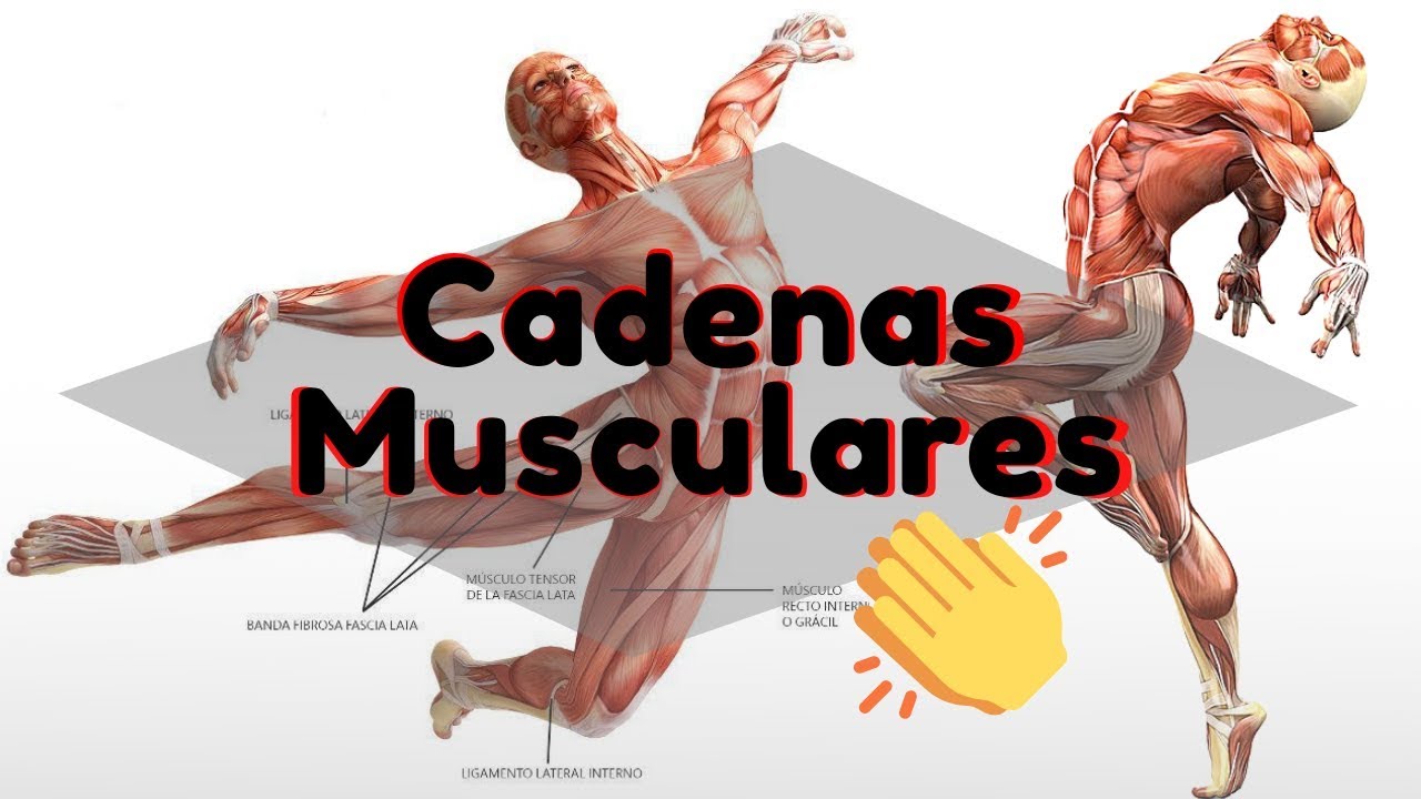 Cadenas Musculares y Cerradas - YouTube