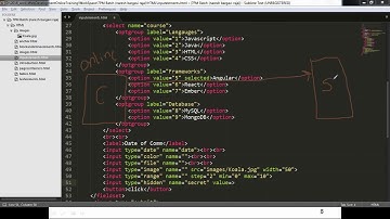 Lession 6 HTML Input Elements part2 CTA buttons, Video and Audio elements
