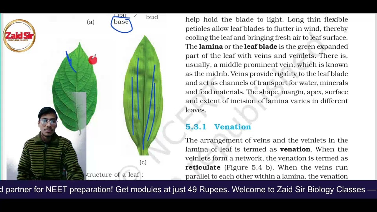 🌸 Morphology of Flowering Plants L-2 | Structure of Leaf & Its Types | NEET 2026 Booster 🚀