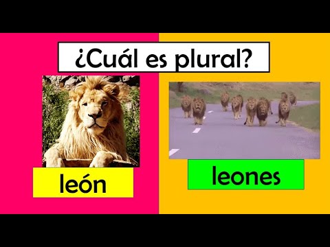 Video: ¿Y es singular o plural?