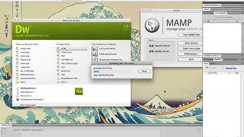 Using Dreamweaver CS5 with WordPress
