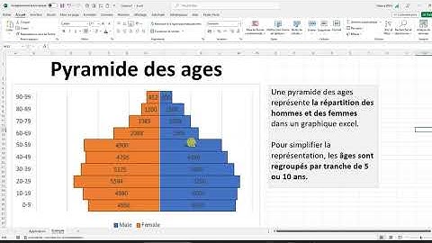 Excel : COMMENT CRÉER UNE PYRAMIDE DES AGES EN 2023