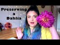 Preserving a Dinner Plate Dahlia in Resin! | Instagram chooses..