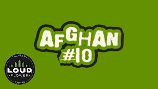 AFGHAN #10 IN ITS TRUE FORM from MI LOUD FLOWER STRAIN REVIEW