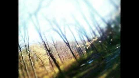 Matthew Jakubowski - 03. Spectral Radius