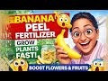 Banana Peel Fertilizer 😱 | Grow Plants Faster Naturally 🌱🍌 | Kitchen Waste Gardening 🏡