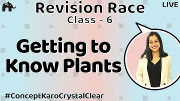 Getting to Know Plants Class 6 Sciece | Live Revision, Important Questions, Quiz|