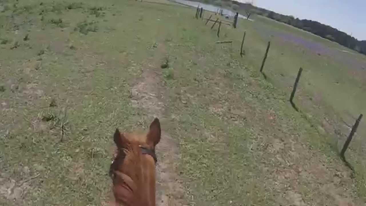 GoPro Hero 3 Helmet Camera Horse riding (Galloping) YouTube