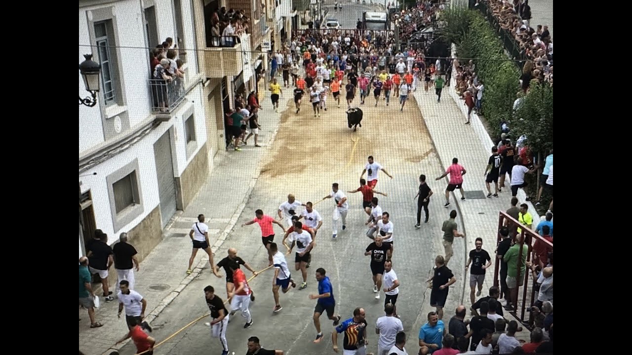 EL TORICO DE CHIVA - Años 1976 - 1977