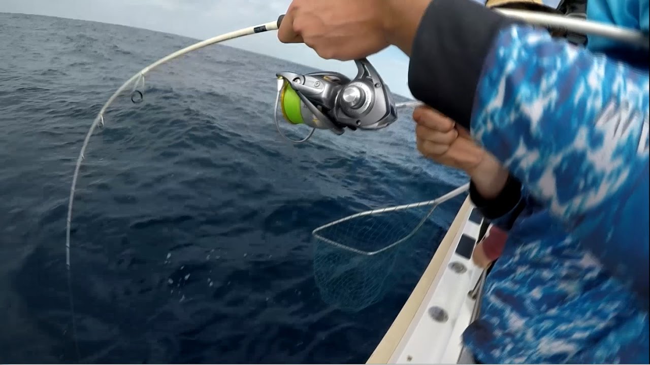 Southern Bluefin Tuna on Gomoku Rods! 