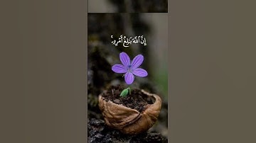 وَمَنْ يَتَّقِ اللهَ يَجْعَلْ لَهُ مَخْرَجاً #سعد_الغامدي #سورة_الطلاق #حالات_واتس #قرأن