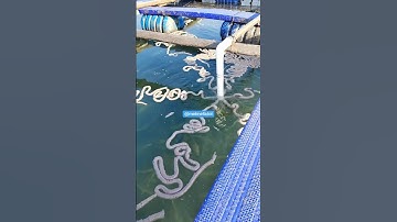 Mới sắm cái máy thức ăn tự động cho cá mà nó lạ lắm 😷 #cuocsong #nhieudieuthuvi #chuyenlaquanhta