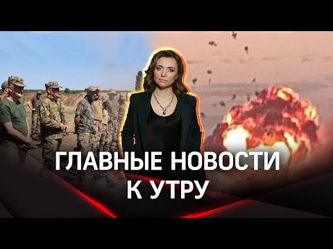 Видео: Донесете празничния дух и направете свои собствени весели орнаменти за кучета