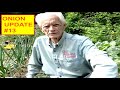 ONIONS - "PART 13" GROWING BIG SLICING ONIONS FROM SEED "SECRET TIPS" (OAG)