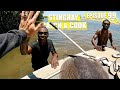 Diving on stingray in cape york i couldnt believe what i was seeing