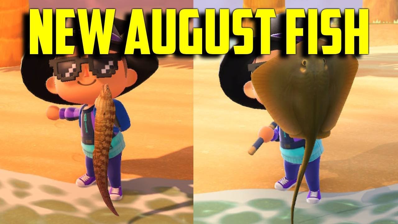 August Fish Guide | August Fish Guide | August Fish ACNH | August ...