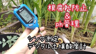【オススメアイテム】根腐れ防止&ph管理 オススメアイテム!シンワ測定 デジタル土壌酸度計
