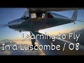 Learning to Fly in a Luscombe | 8