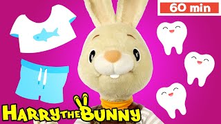 Baby Learning First Words w Harry the Bunny | Sorting & Fun for Babies | Educational Videos for kids