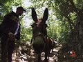 Trekking con l'asino in Calabria