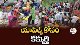 మహబబబదల ఆపల Dcm బలత.. నమషలల లడ మతత మయ