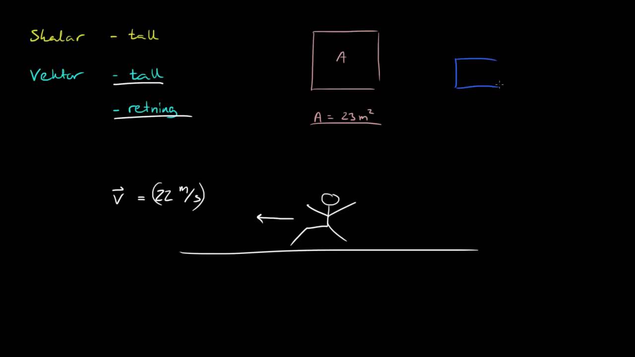 5.1 - Vektor og skalar 1 (R1)