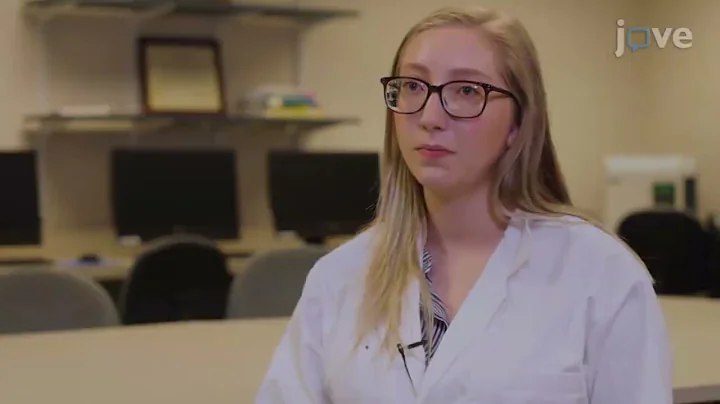 3D Model of Dendritic Spines with Synaptic Plasticity