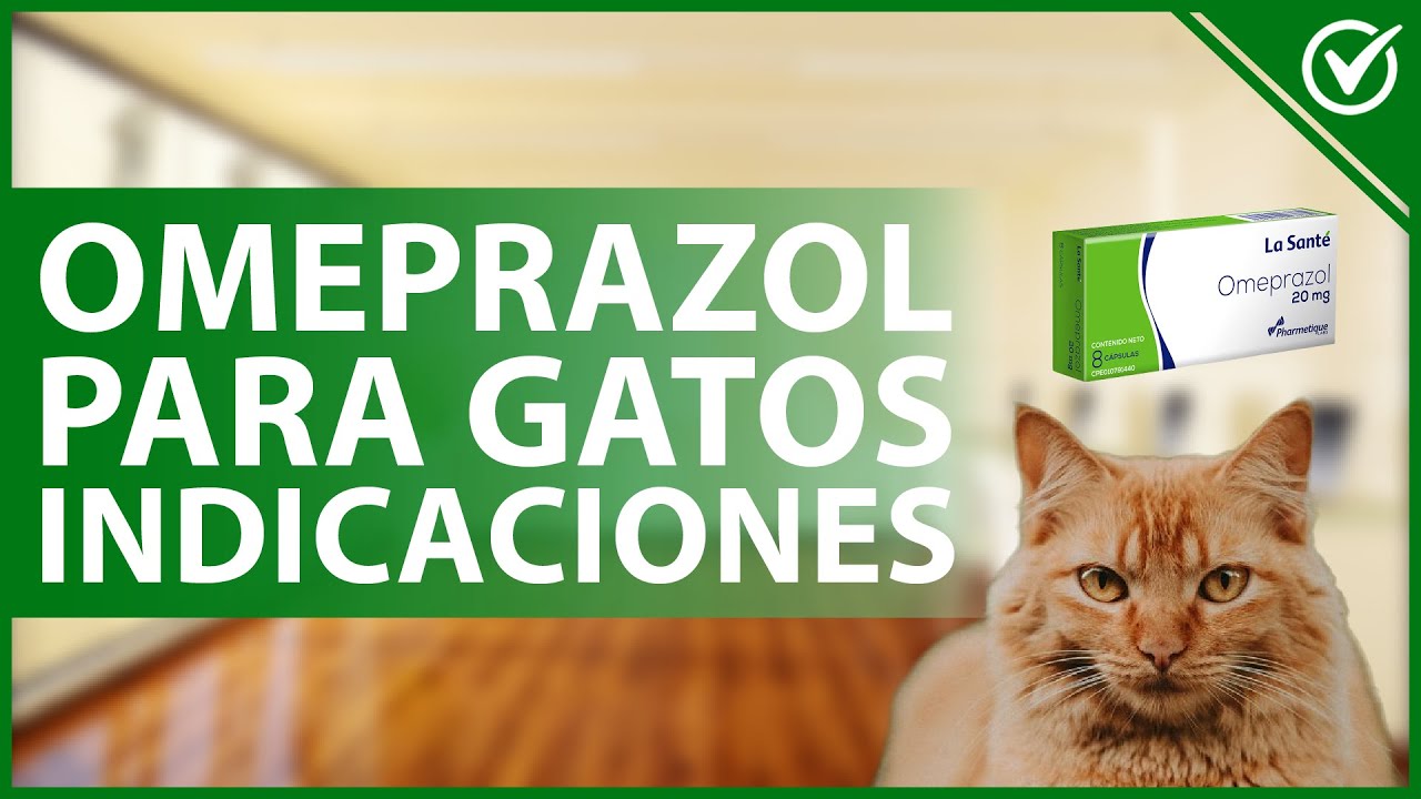 Como funciona un gato hidraulico