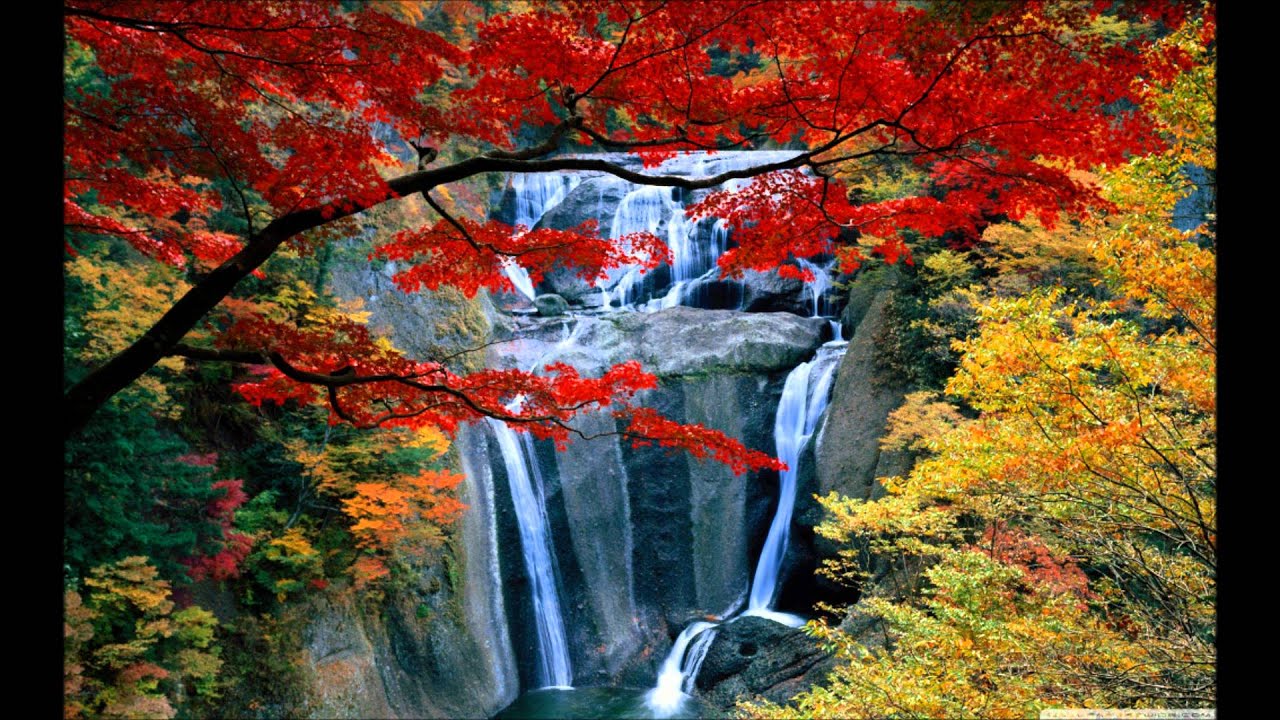 anuradha paudwal tera naam liya