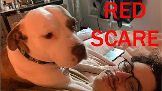 Redscare does Pitbull discourse