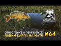 Русская рыбалка 4 #64 - Обновление и перезапуск. Ловим карпа на матч