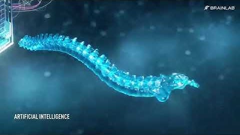 BrainLab: Digital Spine Surgery