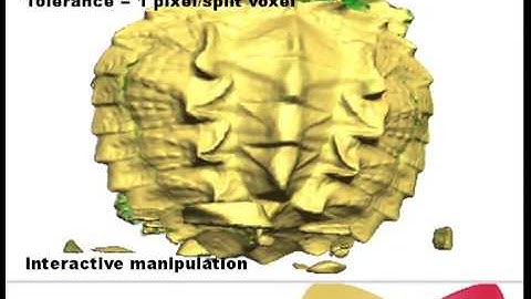 Split-Voxel: A Simple Discontinuity-Preserving Voxel Representation for Volume Rendering
