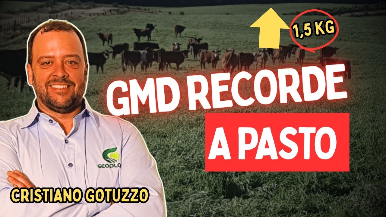 Ele adotou esse Manejo e ROMPEU os Limites de Ganho de Peso a Pasto